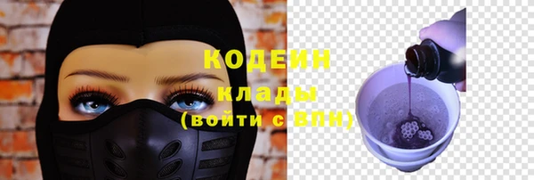стаф Богданович