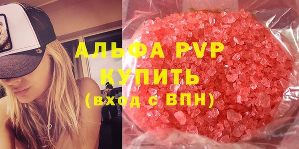 стаф Богданович