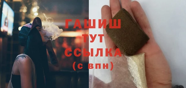 гидра Верхний Тагил