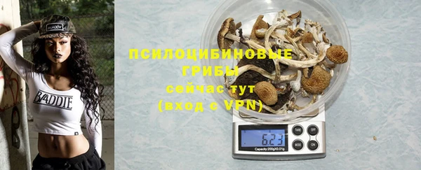 таблы Белокуриха