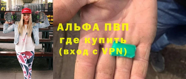стаф Богданович
