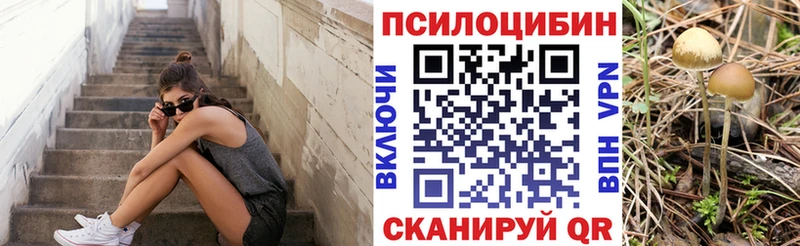 Псилоцибиновые грибы GOLDEN TEACHER  Касимов 